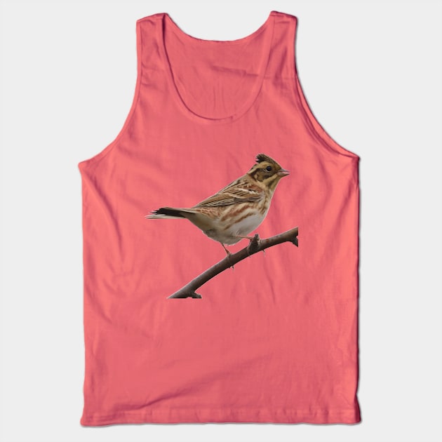 Rustic Bunting Bird Vector Isolated Tank Top by taiche